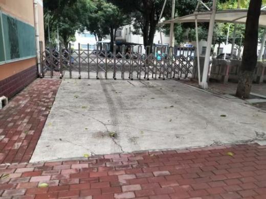 对比照4 (2)